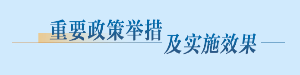 重要政策举措及实施效果
