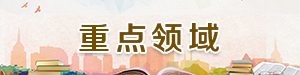 重点领域